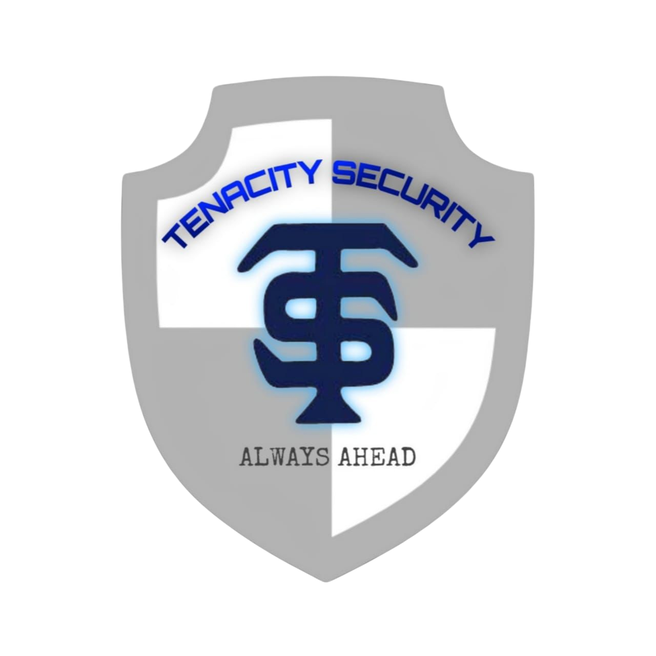 Tenacity Security Logo